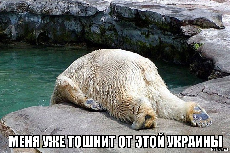 Кто будет кормить Украинцев?