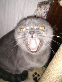 Это зло обитает у меня дома или я обитаю на её территории, еще не разобрался.