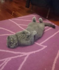 Оно же, только ракурс и настроение другие.