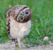 Спасибо. Устал башкой крутить.