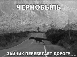  Животные правят Чернобылем после ядерной катастрофы