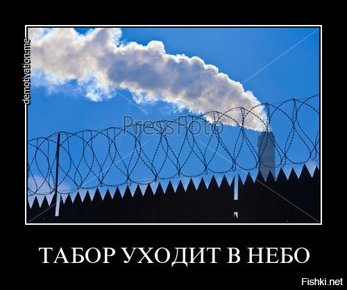Цыганский барон против