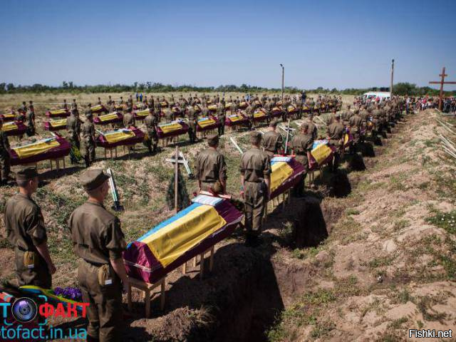 Стесняюсь спросить, "бойцы ВСУ" готовы платить за тренировки?