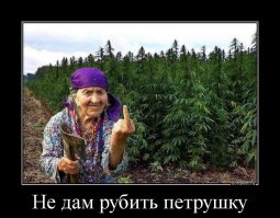 Меня кинула бабуся