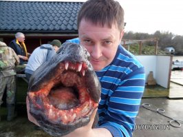 и монстр от меня