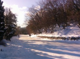 В Алупке я живу, а обратно на работу, в Ялту только 2-ого февраля выбрался... (фото 30-го января в 15ч.51м., 15ч.57м. - "маршрутки" не "ходят"...)