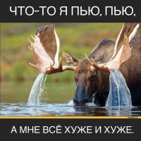 Спасение лося из плена замёрзшей воды