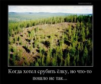 Эффект домино на лесоповале