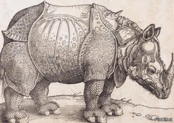 У носорога уж очень точные пропорции для рисунка по описанию. Скорее просто приукрасил.





Особенно такие мелкие детали, как рот, ноздри, глаза и уши.