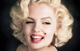 Это не орган, это муха ;)