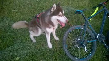 Круто :) Я не лыжах не катаюсь ,только на велосипеде гоняем )