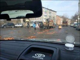  Свежая подборка автоприколов