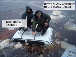  Свежая подборка автоприколов