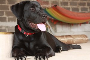 Для меня самая красивая, моя Сонька.