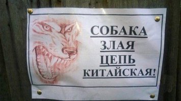 Топ 10 самые большие породы собак в мире