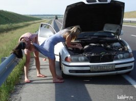 Смотрит,куда свечку вставлять)))))))))))))))))))))))