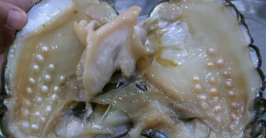 Как можно есть этот клитор, емае