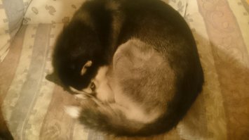 Слева копия моей :)