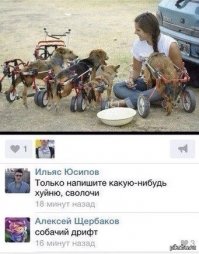 Ну а так, конечно котейку жалко.