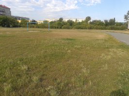 Из серии:"Найди кота".