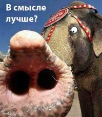  Многочисленные жены индийского махараджи в объективе его фотоаппарата