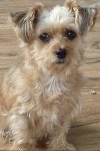 12 лет предоннасти. за 6 месяцев до...