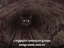 Ахах, классные!))))) Вот вам ещё один)