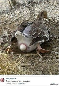 Потом как-то так...