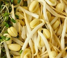 Че-то на второй фотке со спермой на коже человека гонево, это спаржа проросшая, без микроскопа: