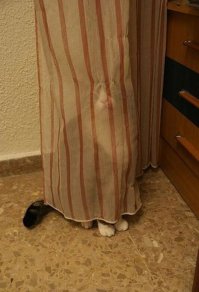 А кот то где?
Афторы чу за развод