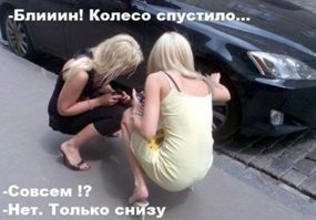 Тупой он или нет