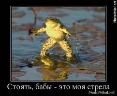 5-ка наиболее необычных лягушек в мире