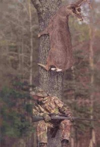 Пипец! Мы в детстве плакали, когда смотрели мульт про Бемби, а эта крокодилица отстреливать животных собралась!