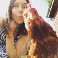 Вот это истинно куриное селфи! Две куры.