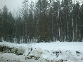 1914 год. Просто месяц май...