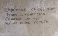 №21 - это написано для девочки (или девочкой) которая спрыгнула с крыши. 
хэштэги #морекитов #f57,58 #150звезд #хочувигру и тд.

аккуратнее, следите за детьми! 
гугл по запросу Рина Паленкова. там уже по ссылкам сами разберетесь. проблема серьезная!