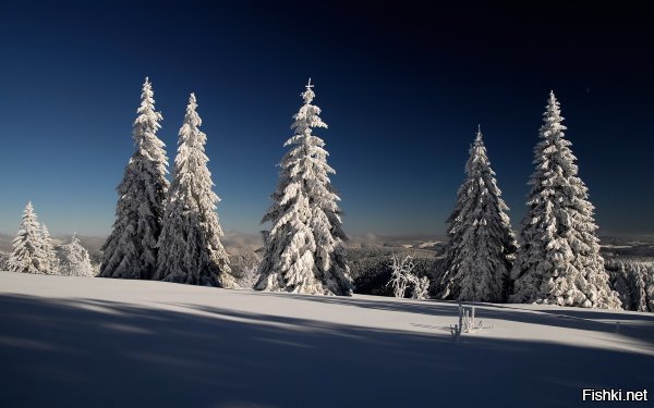 Зимние пейзажи