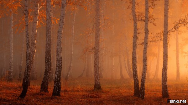 Зимние пейзажи