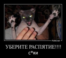 15 реальных животных, про которых можно снимать фильмы ужасов