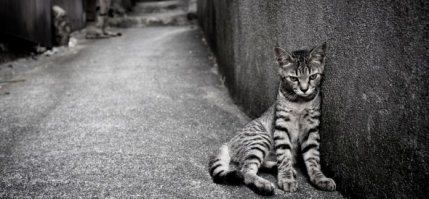 Берегите близких