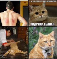  10 настолько злых животных, что они сейчас цапнут тебя зубами через экран