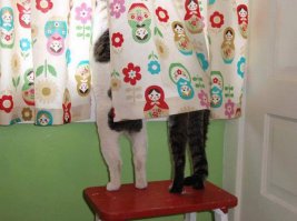 Берегите близких