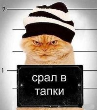 Домашние тапочки. Почему их так любят в России