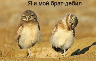 чуть шею не сломал. =)