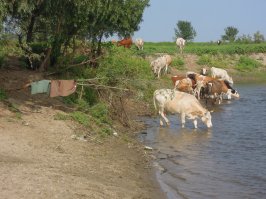 Не только. Чаще просто "на природу". 

Вот моя "экспедиция Три моря": 
(Сага о 14-и частях. :) ) 

Тоже страну немного посмотрели.