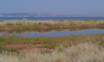 Не только. Чаще просто "на природу". 

Вот моя "экспедиция Три моря": 
(Сага о 14-и частях. :) ) 

Тоже страну немного посмотрели.