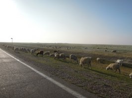 Не только. Чаще просто "на природу". 

Вот моя "экспедиция Три моря": 
(Сага о 14-и частях. :) ) 

Тоже страну немного посмотрели.