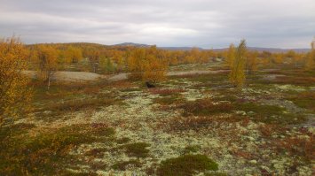 у нас очень красивая природа) не устаю любоваться)