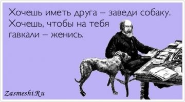 Собаки уверены