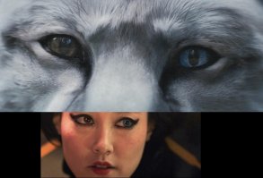  Красивая мутация: 16 фотографий гетерохромии